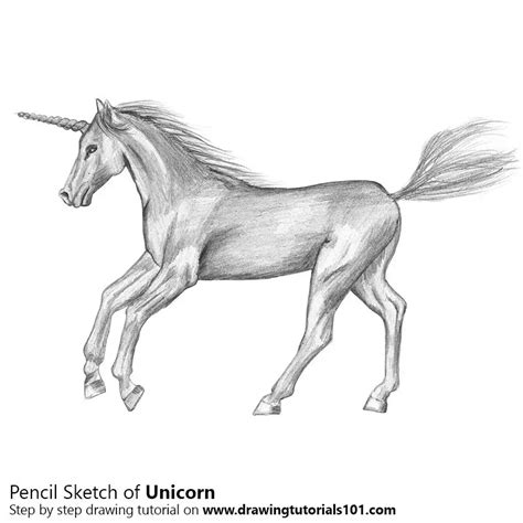 how to draw a unicorn|pencil drawing of a unicorn.